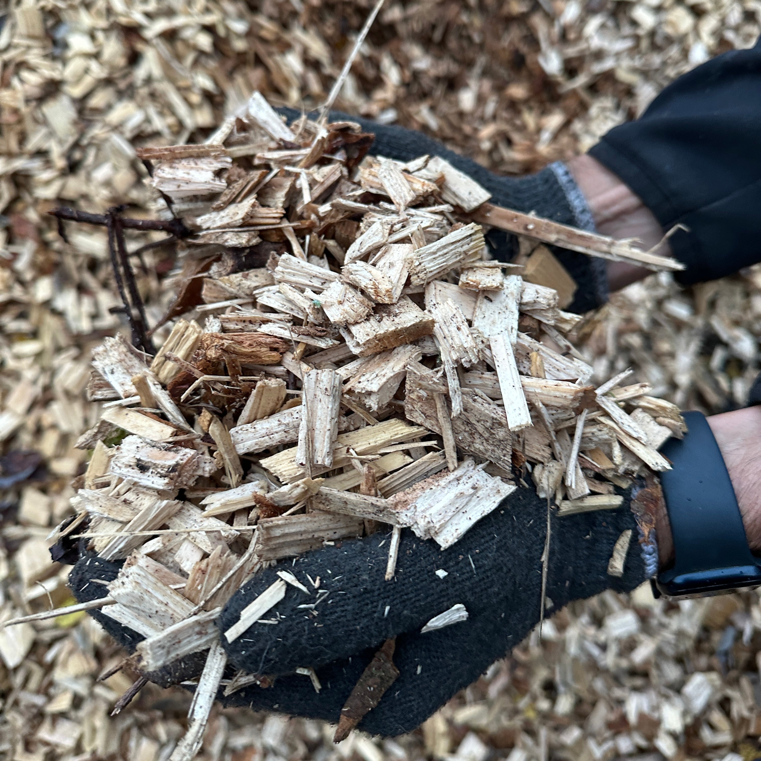 Stokerflis - til stokerfyr eller flis til have